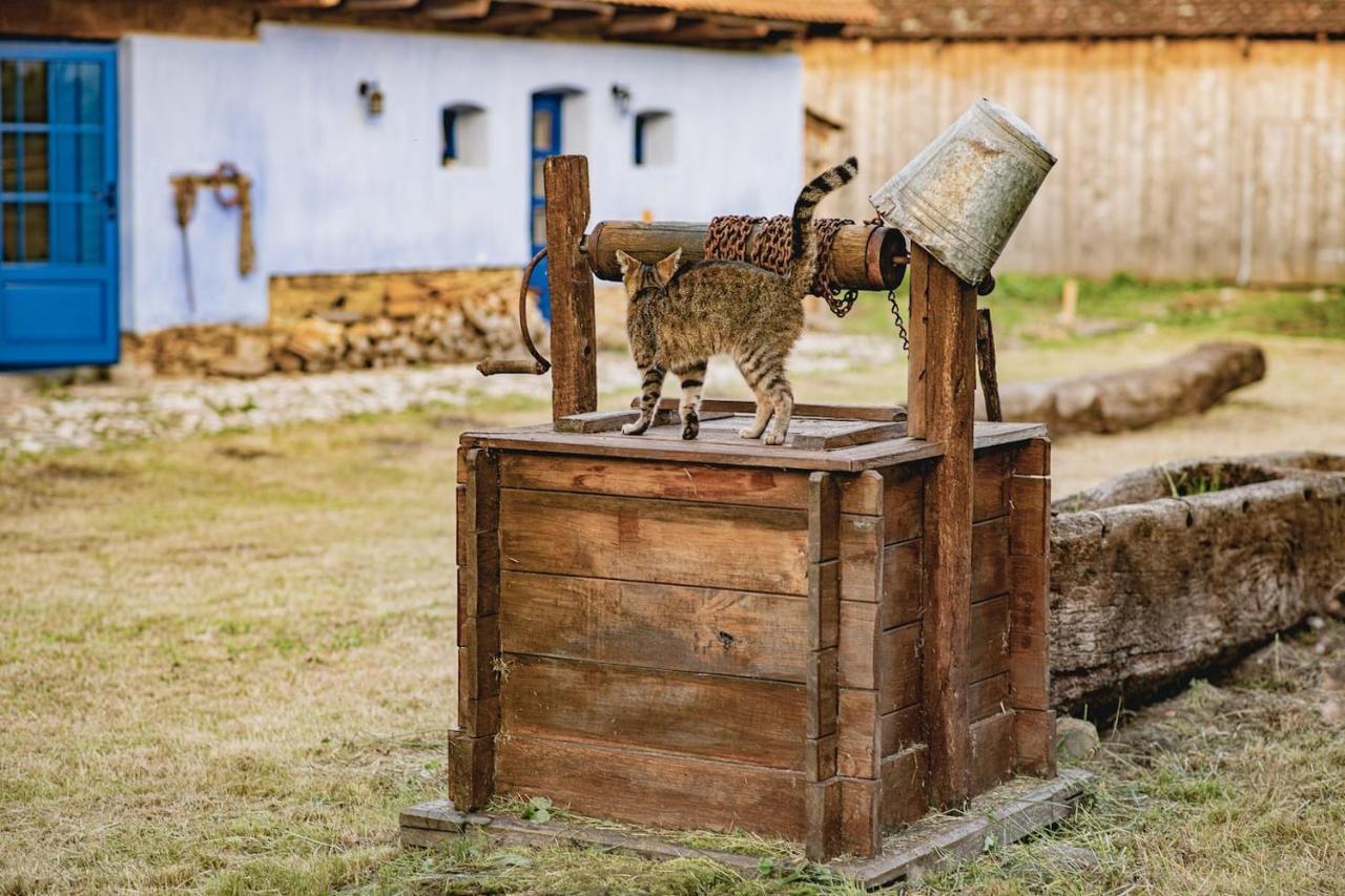 Experience Transylvania Viscri 161A Kültér fotó